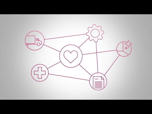 Lorenz Consult Imagevideo